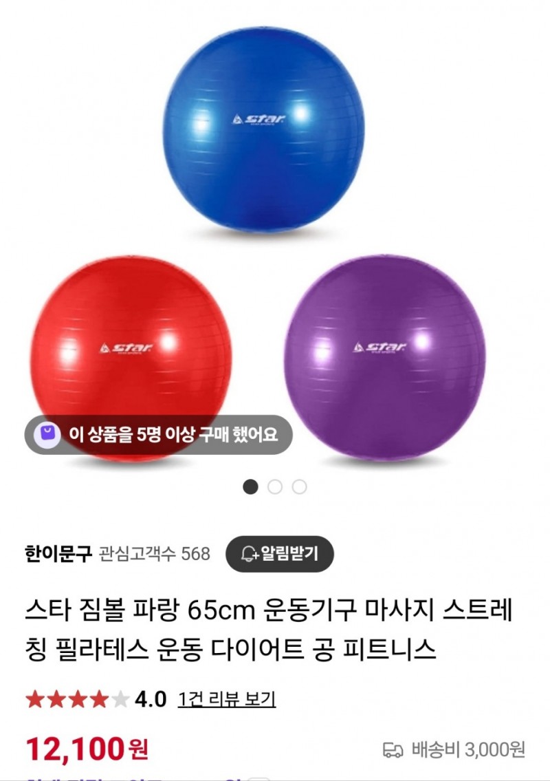 짐볼