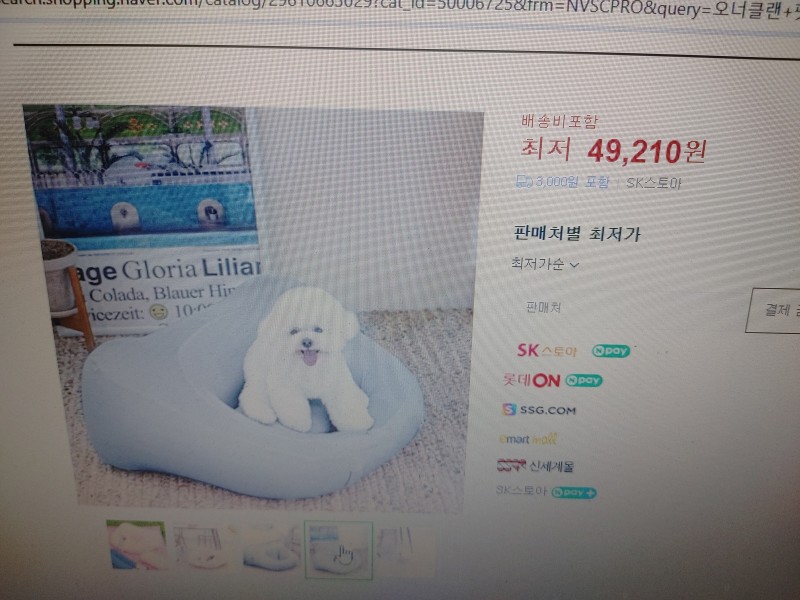애견 에어방석 ​ 2200 개 ​ 최소수량 10박스 180개 ​ 개별포장 ​ 에어방석 2p 1500 원  커버 2p 1500 원 핑크 그레이 ​ 완사시 가격 문의 바랍니다 ​ 시중